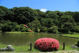 小石川植物園
株式会社メイワ・エステート
東京都台東区東上野5-5-9
03-5830-3434
http://www.meiwaestate.jp/ 小石川植物園の画像1