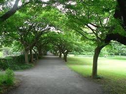 小石川植物園
株式会社メイワ・エステート
東京都台東区東上野5-5-9
03-5830-3434
http://www.meiwaestate.jp/ 小石川植物園の画像2