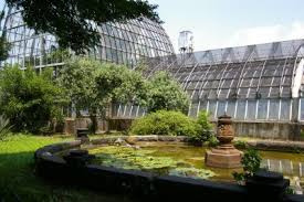 小石川植物園
株式会社メイワ・エステート
東京都台東区東上野5-5-9
03-5830-3434
http://www.meiwaestate.jp/ 小石川植物園の画像5