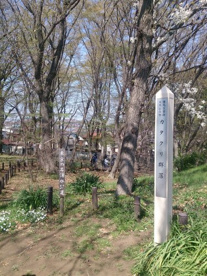 清水山の森の画像1