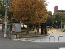 国分公園