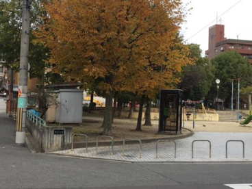 国分公園の画像1