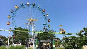 あらかわ遊園の画像5