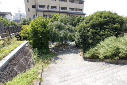 伏見みなと公園の画像2