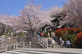 飛鳥山公園
株式会社メイワ・エステート
東京都台東区東上野5-5-9
03-5830-3434
http://www.meiwaestate.jp/ 飛鳥山公園の画像2