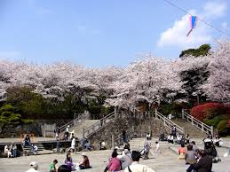 飛鳥山公園
株式会社メイワ・エステート
東京都台東区東上野5-5-9
03-5830-3434
http://www.meiwaestate.jp/ 飛鳥山公園の画像3