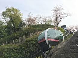 飛鳥山公園
株式会社メイワ・エステート
東京都台東区東上野5-5-9
03-5830-3434
http://www.meiwaestate.jp/ 飛鳥山公園の画像5