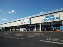 ドラッグストア カワチ薬品 守谷店