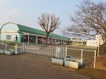 幼稚園 竹園東幼稚園
