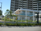 保育園 かえで保育園