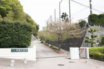 松崎中学校