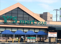  ワイズマート 北国分店