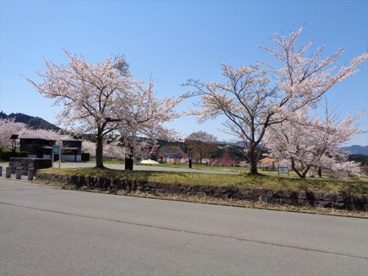 鹿角市総合運動公園の画像1