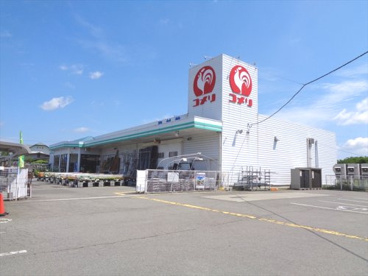 コメリハード&グリーン 毛馬内店の画像1