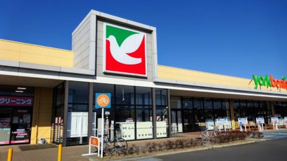 ヨークベニマル つくばみらい店の画像1