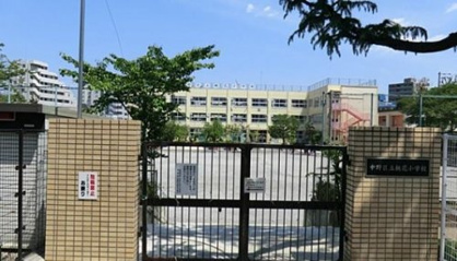 中野区立桃花小学校の画像1