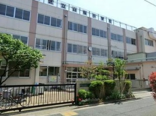 中野区立白桜小学校の画像1
