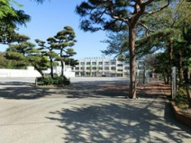 中野区立緑野小学校