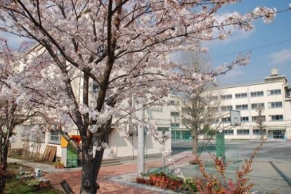 中野区立第二中学校の画像1