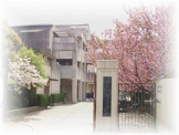 八尾市立成法中学校