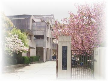 八尾市立成法中学校の画像1