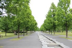 舎人公園
株式会社メイワ・エステート
東京都台東区東上野5-5-9
03-5830-3434
http://www.meiwaestate.jp/ 舎人公園の画像2