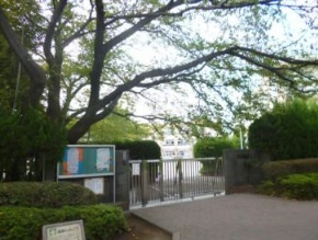 豊島区立要小学校の画像1