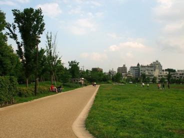 杉並区立桃井原っぱ公園の画像1