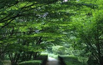 北の丸公園