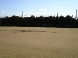 井草森公園運動場の画像1