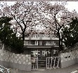 東京都立広尾高等学校