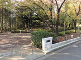 新石川公園