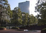 東洋大学