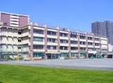 江東区立東雲小学校