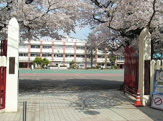 赤羽小学校