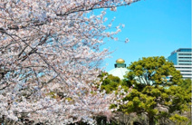 北の丸公園