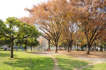 都立青山公園
