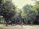 塚山公園