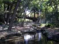 林試の森公園
