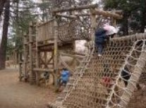 林試の森公園の画像3