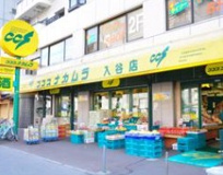 株式会社ココスナカムラ