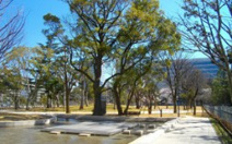 中野四季の森公園