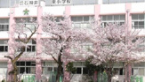 石神井東小学校