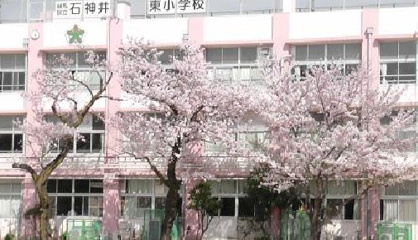 石神井東小学校の画像1