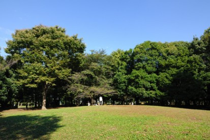 北区中央公園の画像