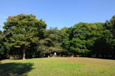 北区中央公園
