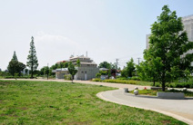 杉並区立桃井原っぱ公園