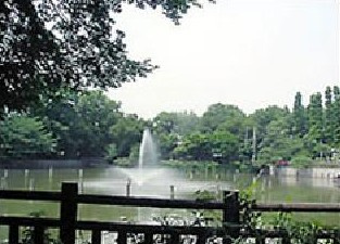 碑文谷公園の画像1