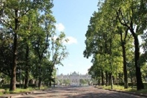 若葉東公園