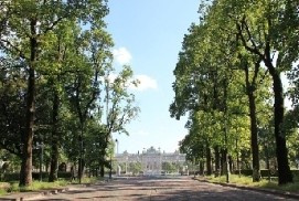 若葉東公園の画像1